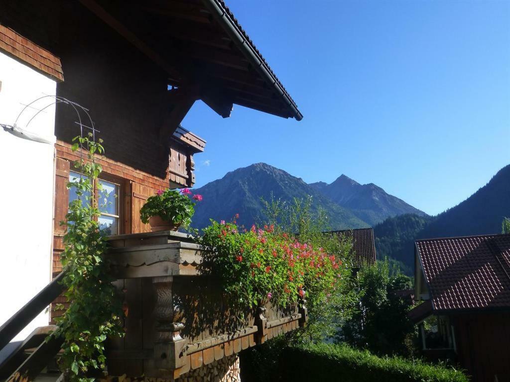 Haus Petra Und Toni Holzheu Lägenhet Bad Hindelang Exteriör bild